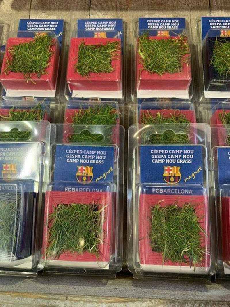 Trong cơn túng quẫn, Barca buộc phải bán cả... cỏ để trang trải